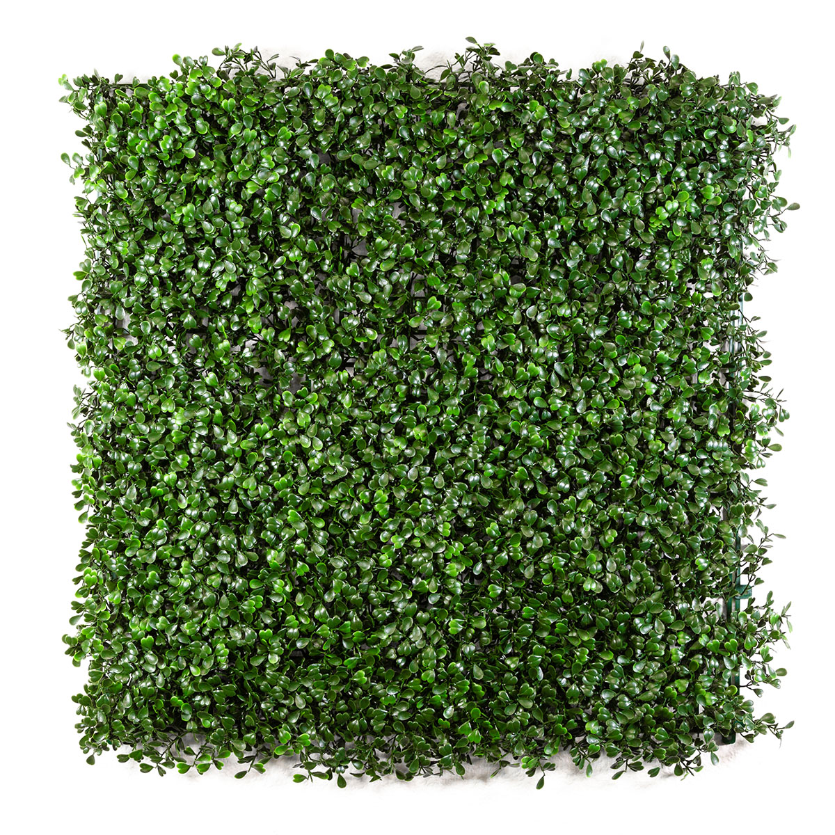 Artificial Living Walls Products Solano County 3