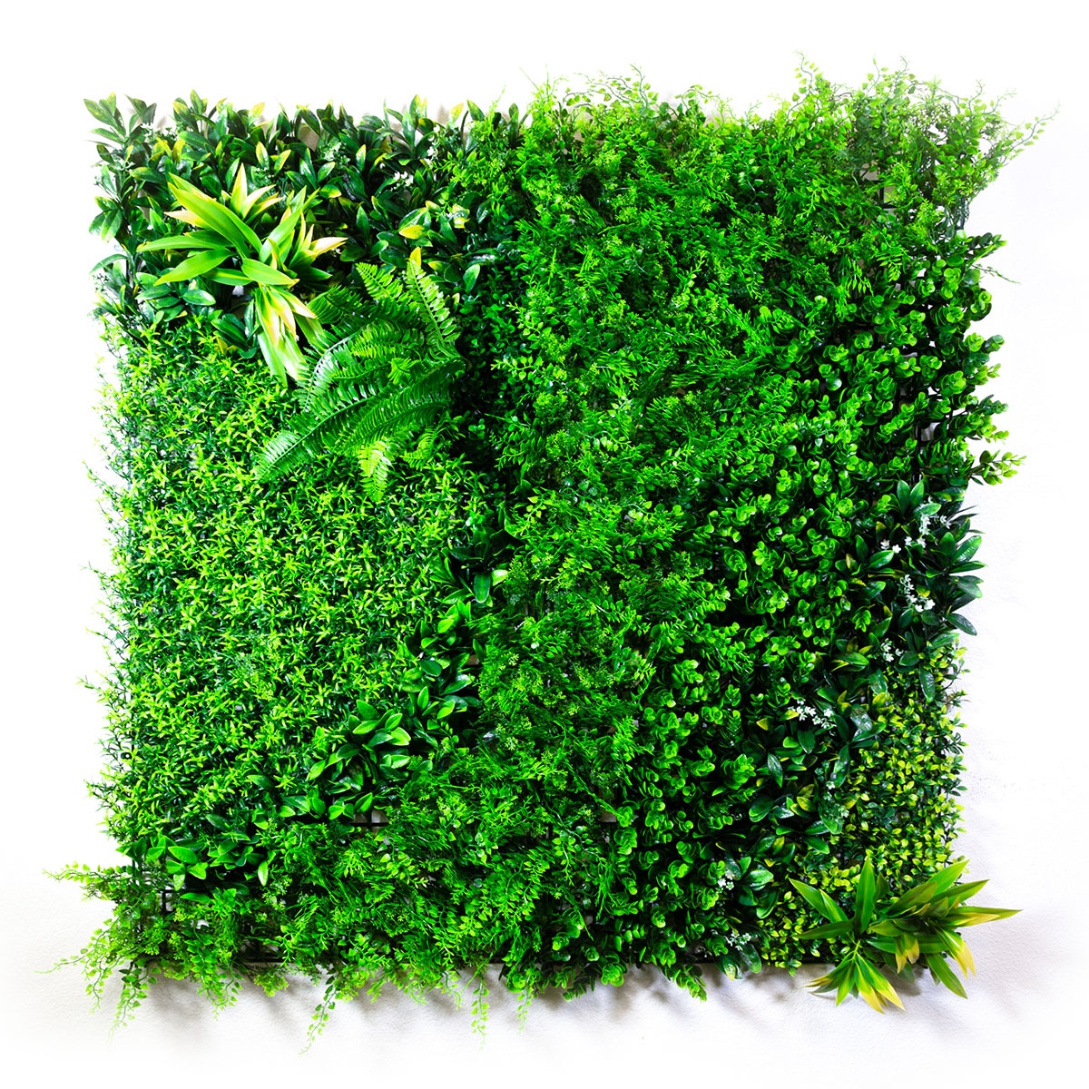 Artificial Living Walls Products Solano County 5